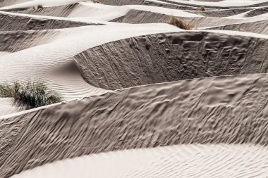 Morocco Sahara vasıl günbatımı kum tepeleri