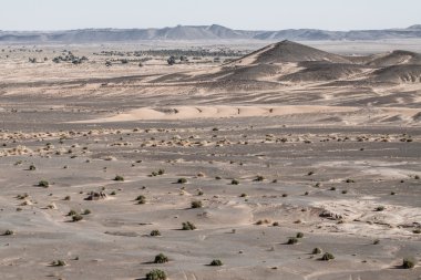 Morocco Sahara vasıl günbatımı kum tepeleri