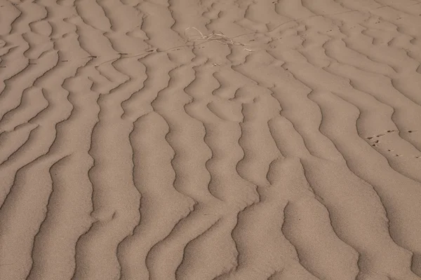 Dune di sabbia al tramonto nel Sahara in Marocco — Foto Stock