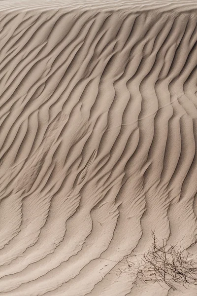 Dunas de arena al atardecer en el Sahara en Marruecos —  Fotos de Stock