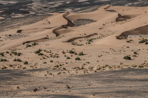 日落时在摩洛哥撒哈拉沙漠的沙丘 — 图库照片