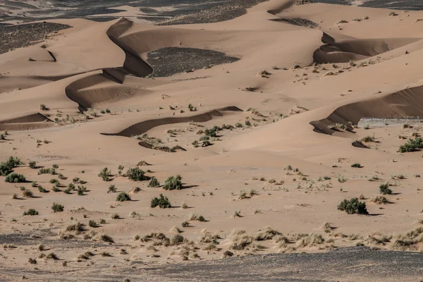 Zandduinen bij zonsondergang in de sahara in Marokko — Stockfoto