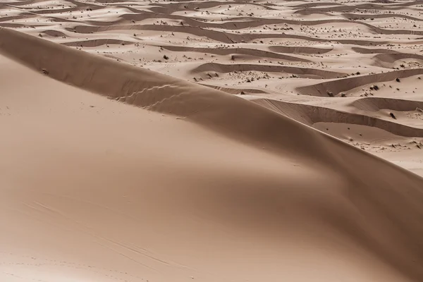 Sanddünen bei Sonnenuntergang in der Sahara in Marokko — Stockfoto