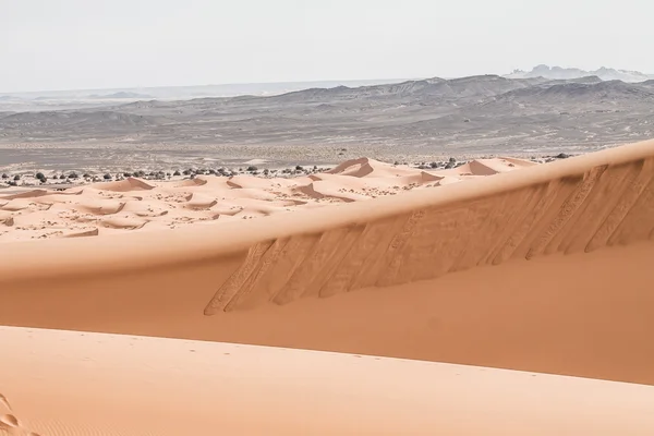 Zandduinen bij zonsondergang in de sahara in Marokko — Stockfoto