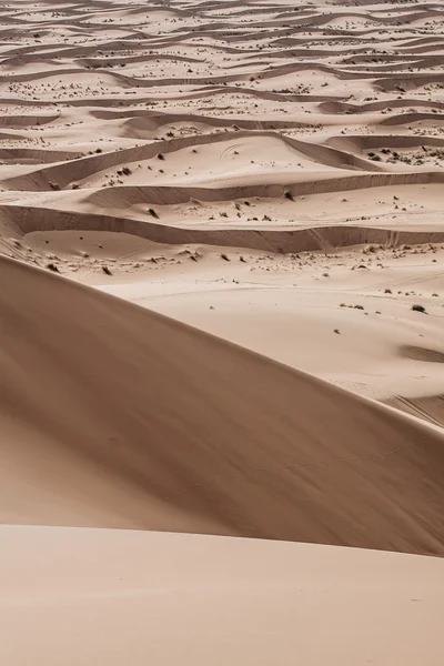 Піщані дюни на заході сонця в Сахарі в Марокко — стокове фото