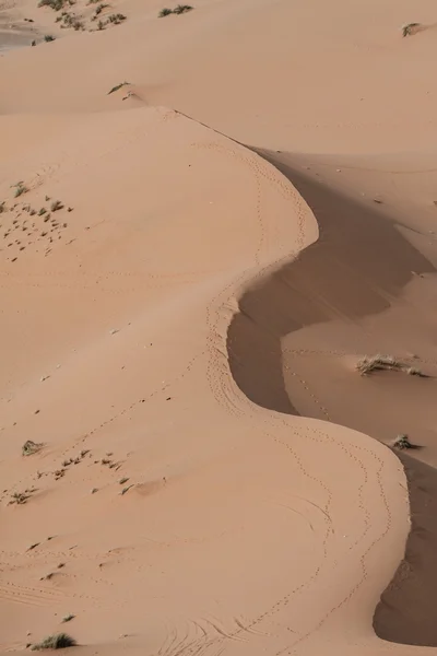 Sand dunes at sunset in the Sahara in Morocco — Stock Photo, Image