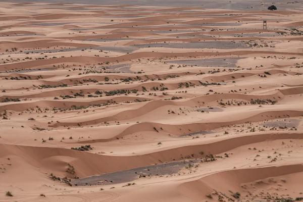 Песчаные дюны на закате в Сахаре в Марокко — стоковое фото
