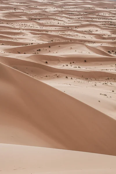 Dunas de areia ao pôr do sol no Saara em Marrocos — Fotografia de Stock