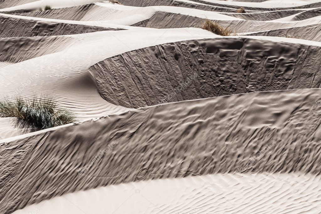 Sand dunes at sunset in the Sahara in Morocco