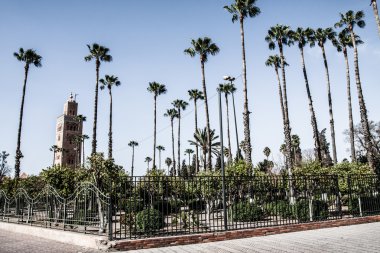 Fas. Marrakech. koutoubia cami