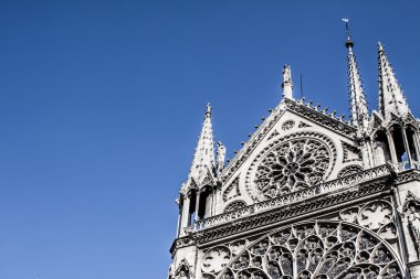 Katedral notre dame de paris, Fransa, Avrupa