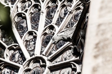 Katedral notre dame de paris, Fransa, Avrupa