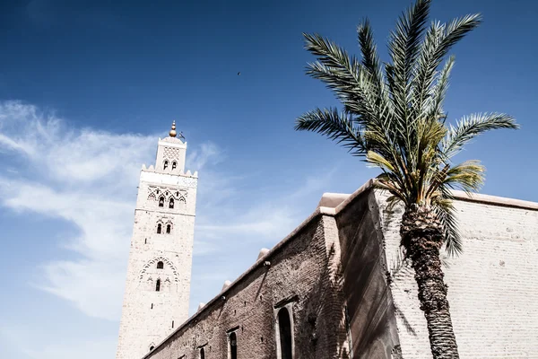 Марокко. Марракеш. мечеть koutoubia — стокове фото