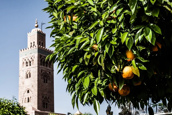 Maroko. Marrakech. mešita koutoubia — Stock fotografie