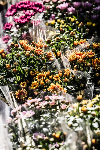 Arreglo de floristería fuera de una tienda en París — Foto de Stock