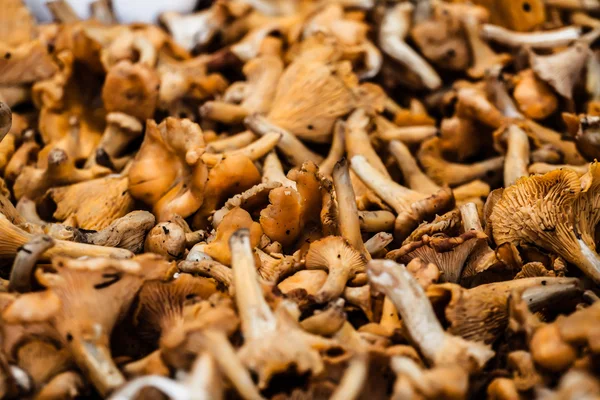 Pilze auf dem lokalen Markt in Paris — Stockfoto