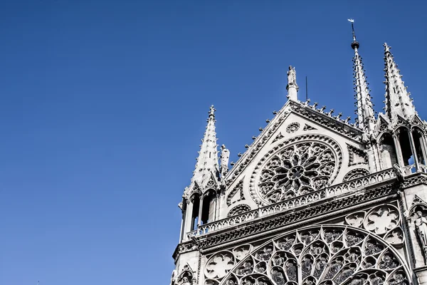 Cattedrale di Notre Dame de Paris, Francia, Europa — Foto Stock