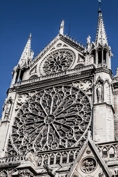 Székesegyház Notre Dame de Paris, Franciaország, Európa — Stock Fotó