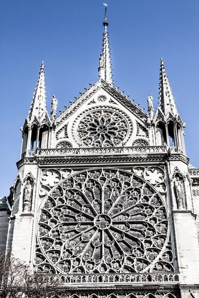 Cattedrale di Notre Dame de Paris, Francia, Europa — Foto Stock