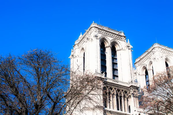 Καθεδρικός ναός της Νοτρ Νταμ de Παρίσι, Γαλλία, Ευρώπη — Φωτογραφία Αρχείου