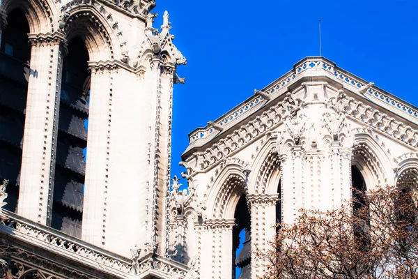 Kathedraal notre dame de paris, Frankrijk, Europa — Stockfoto
