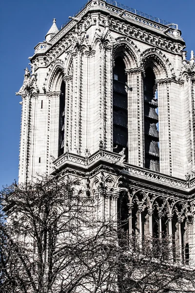 Cattedrale di Notre Dame de Paris, Francia, Europa — Foto Stock