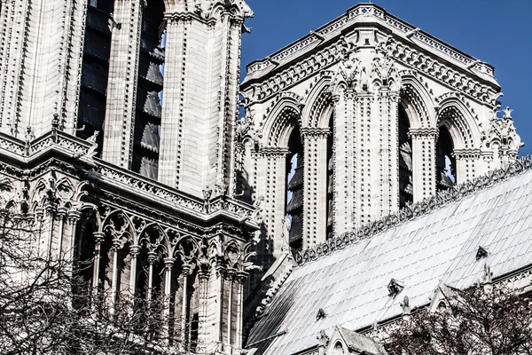 Cathédrale Notre Dame de Paris, France, Europe — Photo