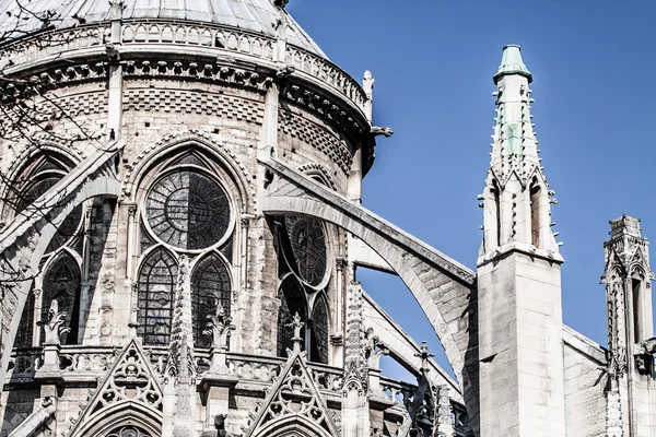 Catedral Notre Dame de Paris, França, Europa — Fotografia de Stock