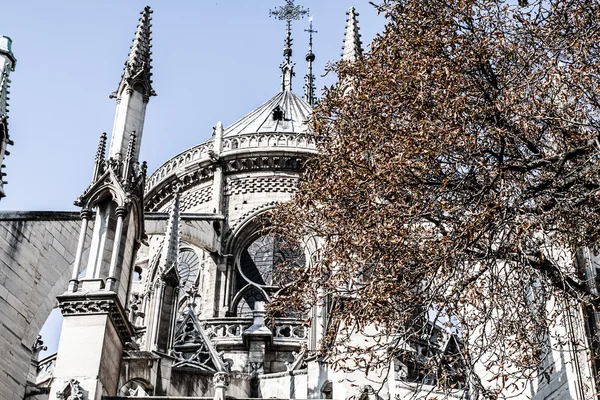 Собор Парижской Богоматери, Франция, Европа — стоковое фото