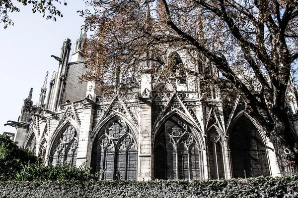 성당 노 틀 담 드 파리, 프랑스, 유럽 — 스톡 사진