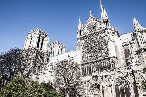 Catedral Notre Dame de Paris, França, Europa — Fotografia de Stock