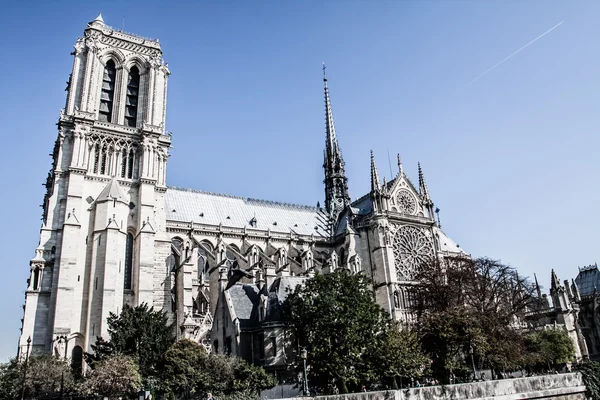 Catedral de Notre Dame de Paris, Francia, Europa — Foto de Stock