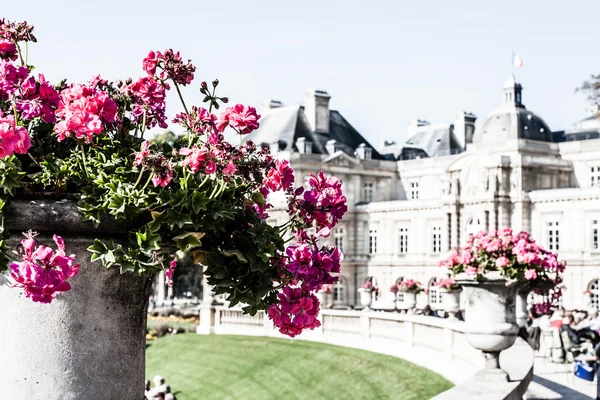 The Luxembourg Palace in beautiful garden, Paris, France — Stock Photo, Image