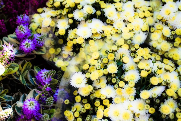 Arreglo de floristería fuera de una tienda en París — Foto de Stock