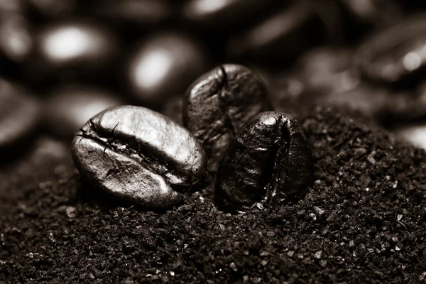 Grains de café sur fond en bois grunge — Photo