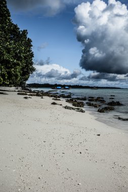 şeffaf deniz suyu ve mavi gökyüzü bulutlu