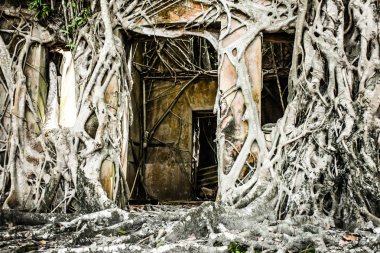 Angkor wat dikiş içinde karmaşık biçmek
