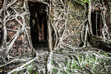 Angkor wat dikiş içinde karmaşık biçmek