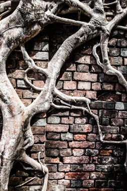 Angkor wat dikiş içinde karmaşık biçmek