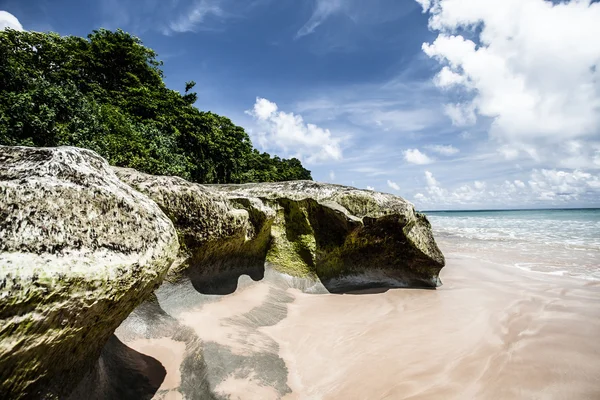 Neil Island strand og blå himmel med hvide skyer, Andaman øer - Indien - Stock-foto