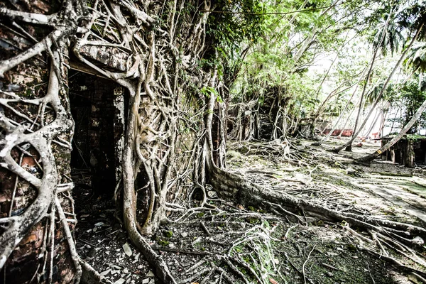 Angkor wat komplex in naht ernten — Stockfoto