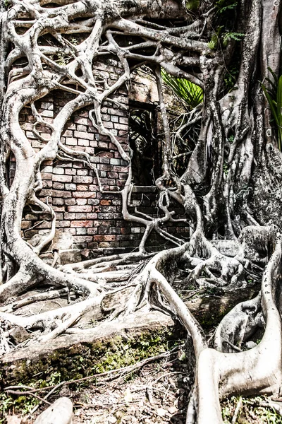 Angkor Wat complex in Seam Reap — Stock Photo, Image