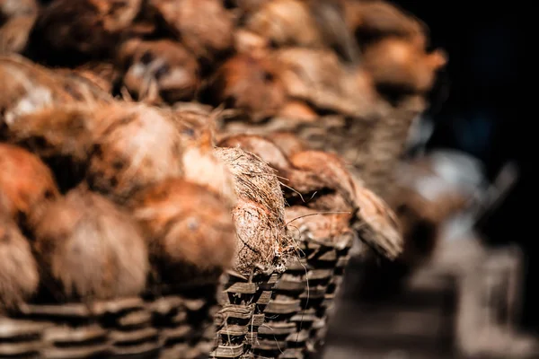 코코넛 바구니 — 스톡 사진