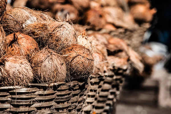 Cestino con noci di cocco — Foto Stock