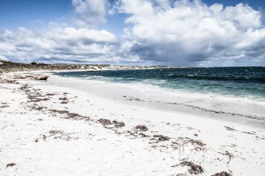 Scenic view over one of the beaches of Rottnest island