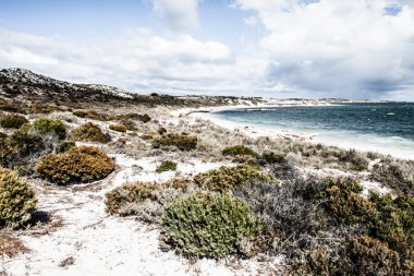 Scenic view over one of the beaches of Rottnest island
