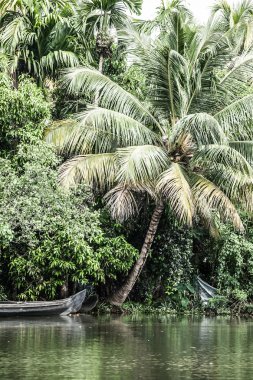avuç içi alappuzha, kerala, Hindistan yakın önemsizden ev Tekne