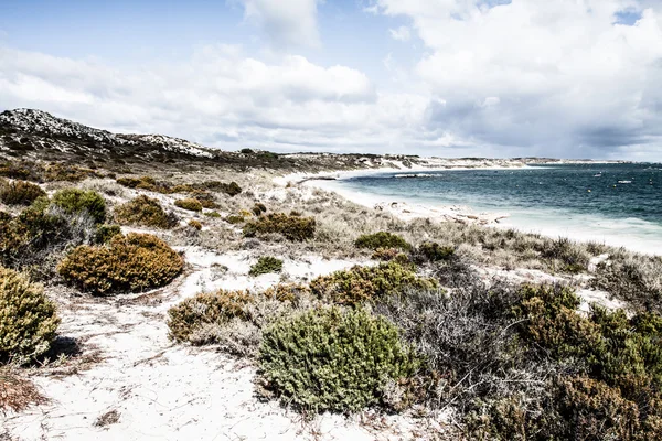 Scénický výhled na jedné z pláží rottnest Island — Stock fotografie