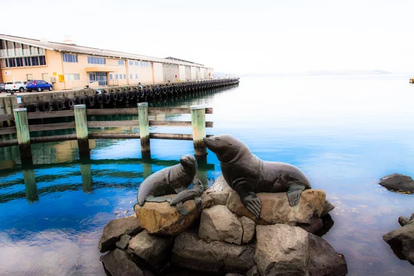 Vista del puerto de Hobart en un claro día de invierno —  Fotos de Stock
