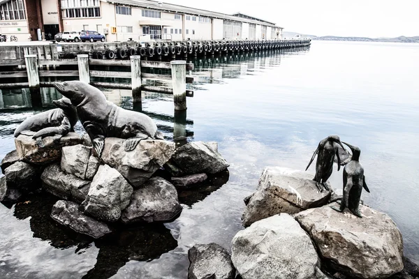 Vista del puerto de Hobart en un claro día de invierno —  Fotos de Stock